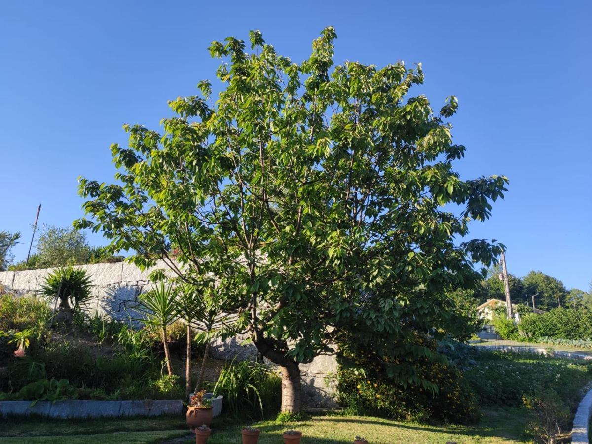 Propriedade Do Pires Guimaraes Exterior photo